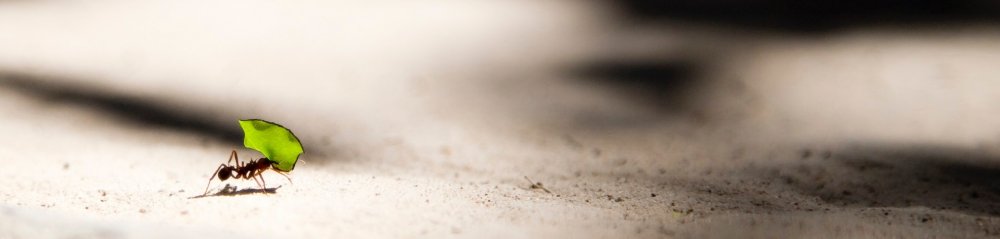 Das-Spendenprogramm-der-Kannenbaecker-Buecherkiste